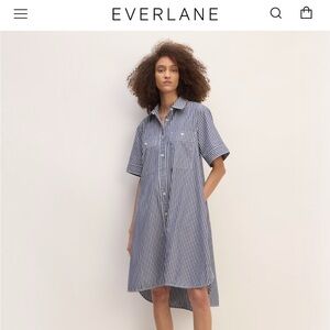 Everlane Daytripper Dress small